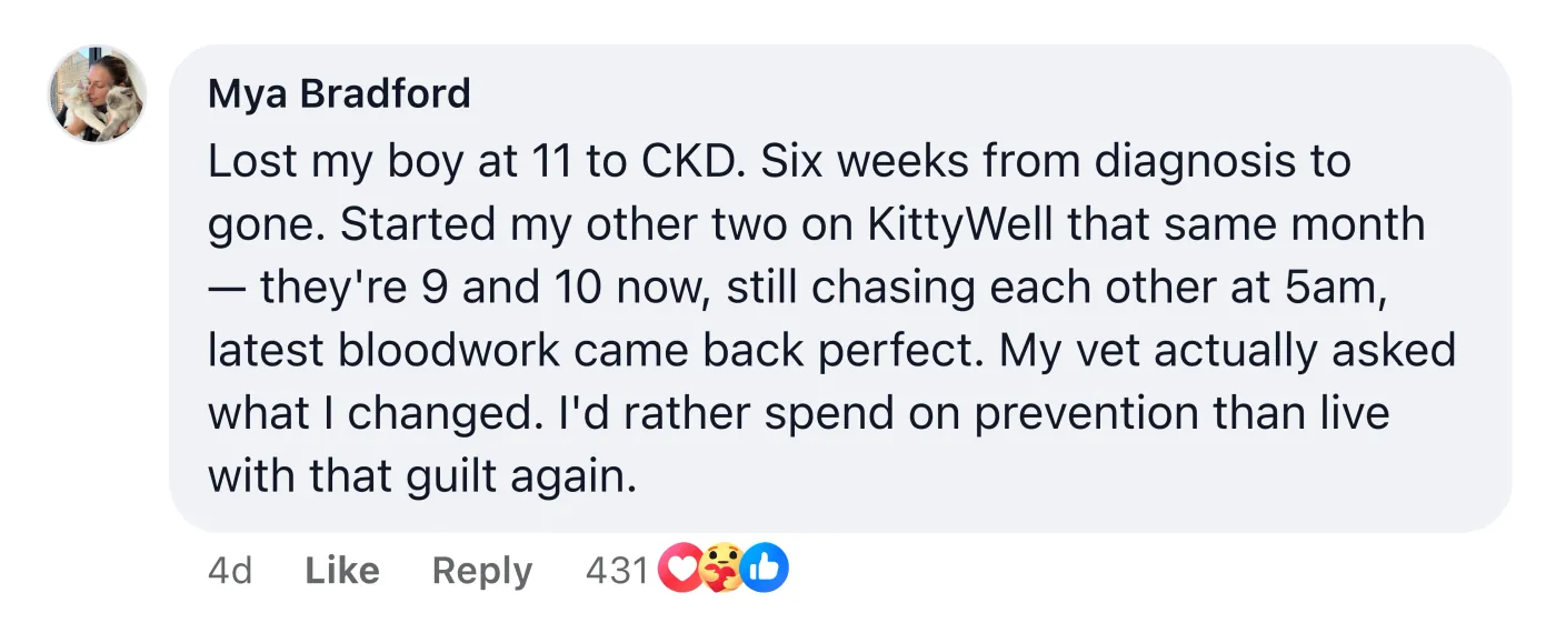 Facebook comment from Mya Bradford: Lost my boy at 11 to CKD. Six weeks from diagnosis to gone. Started my other two on KittyWell that same month — they're 9 and 10 now, still chasing each other at 5am, latest bloodwork came back perfect. My vet actually asked what I changed. I'd rather spend on prevention than live with that guilt again.